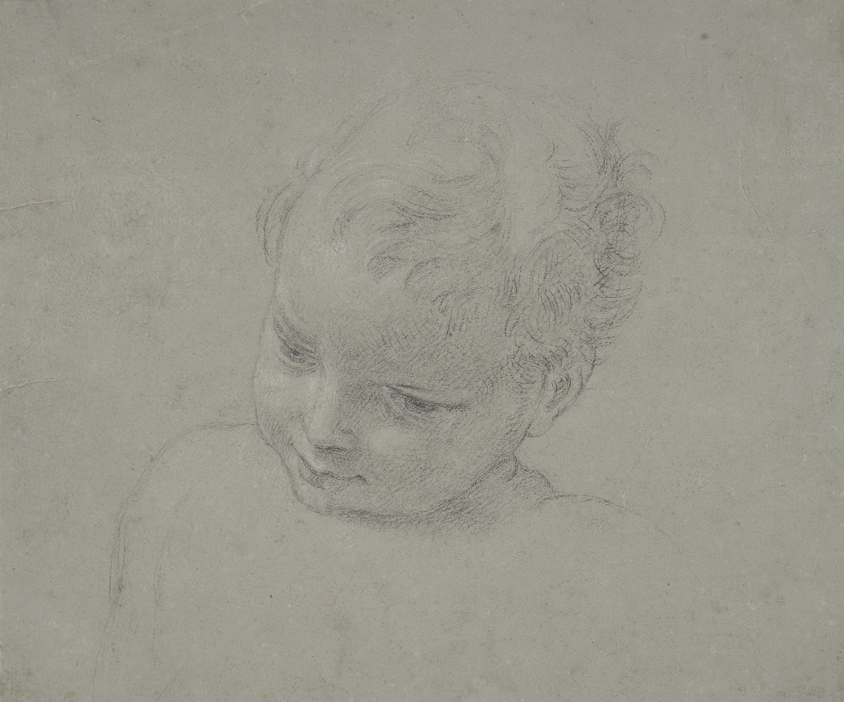 Bust Length Study of a Child 170887