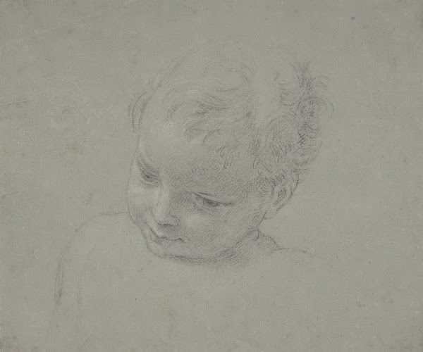 Bust Length Study of a Child 170887