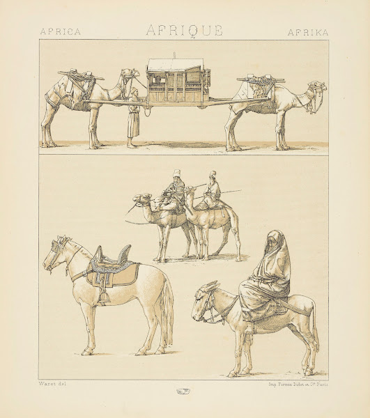 Les montures et les animamaux de transport  le Touareg une femme égyptienne en c
