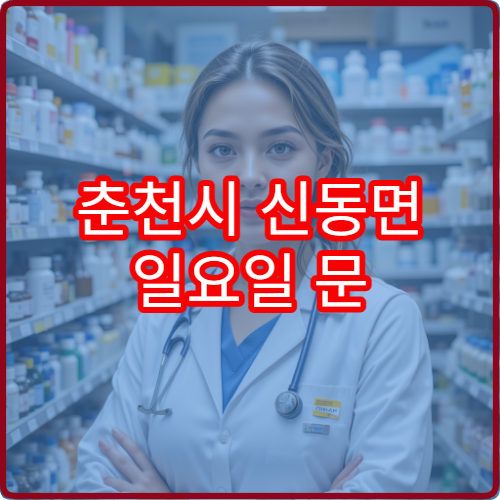 춘천시 신동면 일요일 문 여는 당직 약국 찾기 쉬운 정리
