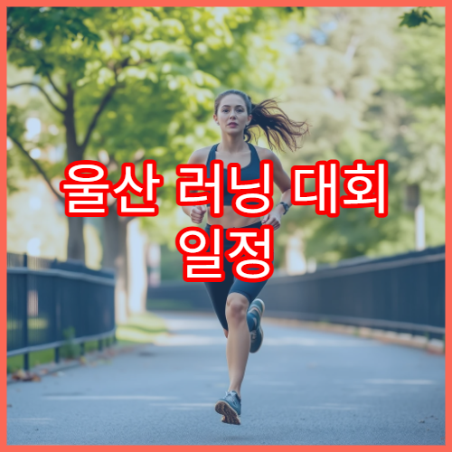 울산 러닝 대회 일정 접수 팁과 코스 소개