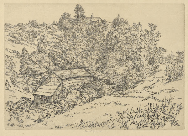 Hill Farm Dromore 1900 1925