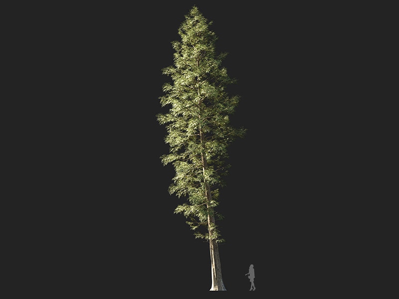 Maxtree - Plant Models Vol.132