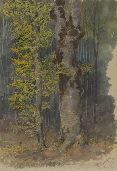 Study of a Trunk Branching Out