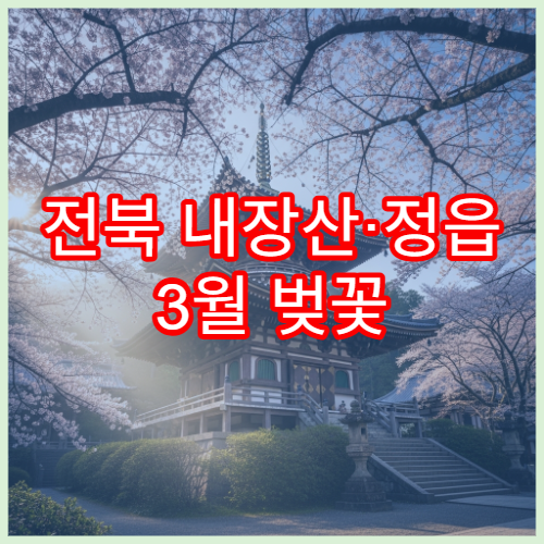 전북 내장산·정읍 3월 벚꽃 산책로 모음