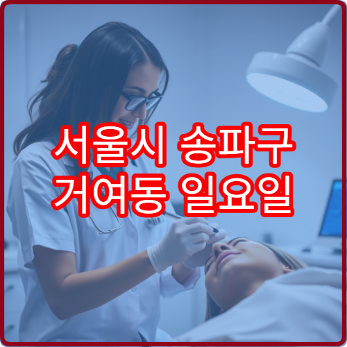 서울시 송파구 거여동 일요일 피부과 진료 병원 알레르기
