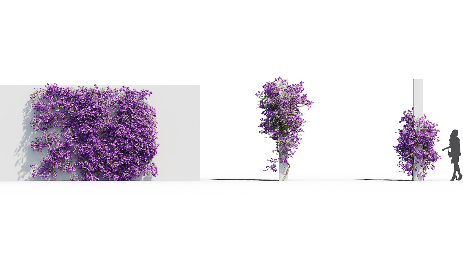 Maxtree - Plant Models Vol.37