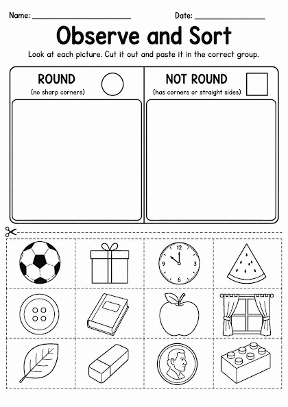 Observe and Sort