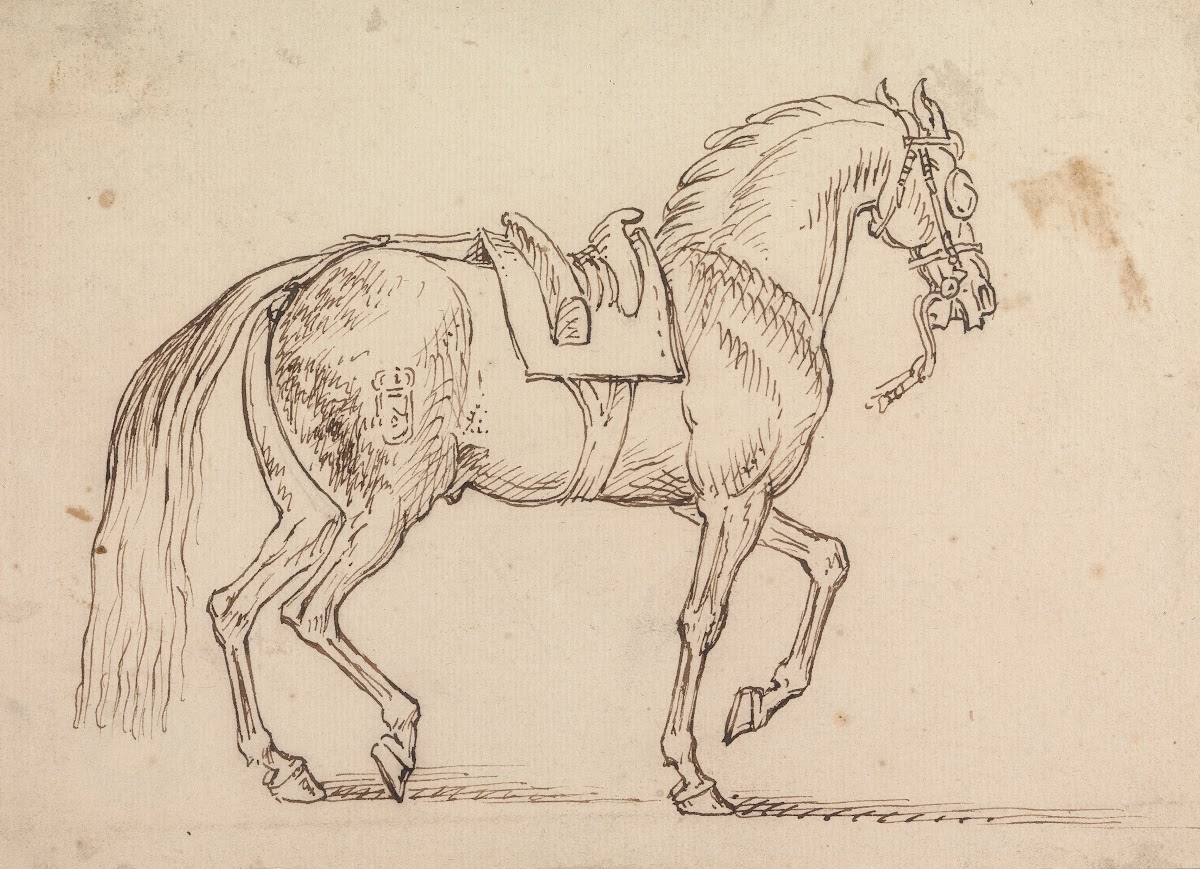 Saddled Horse with a Crest Branded on His Flank Walking to Right