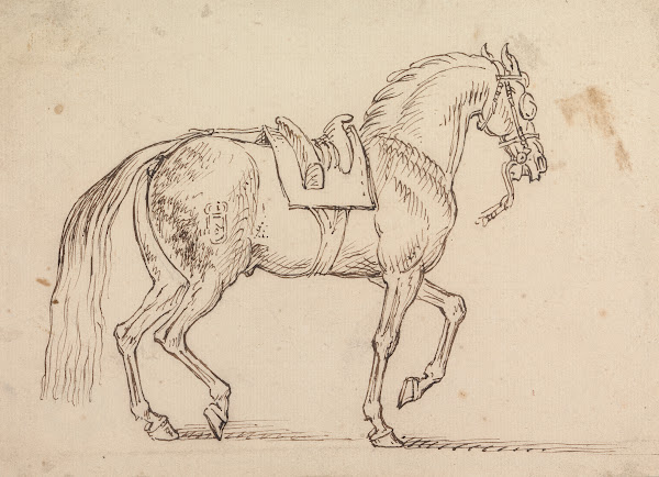 Saddled Horse with a Crest Branded on His Flank Walking to Right