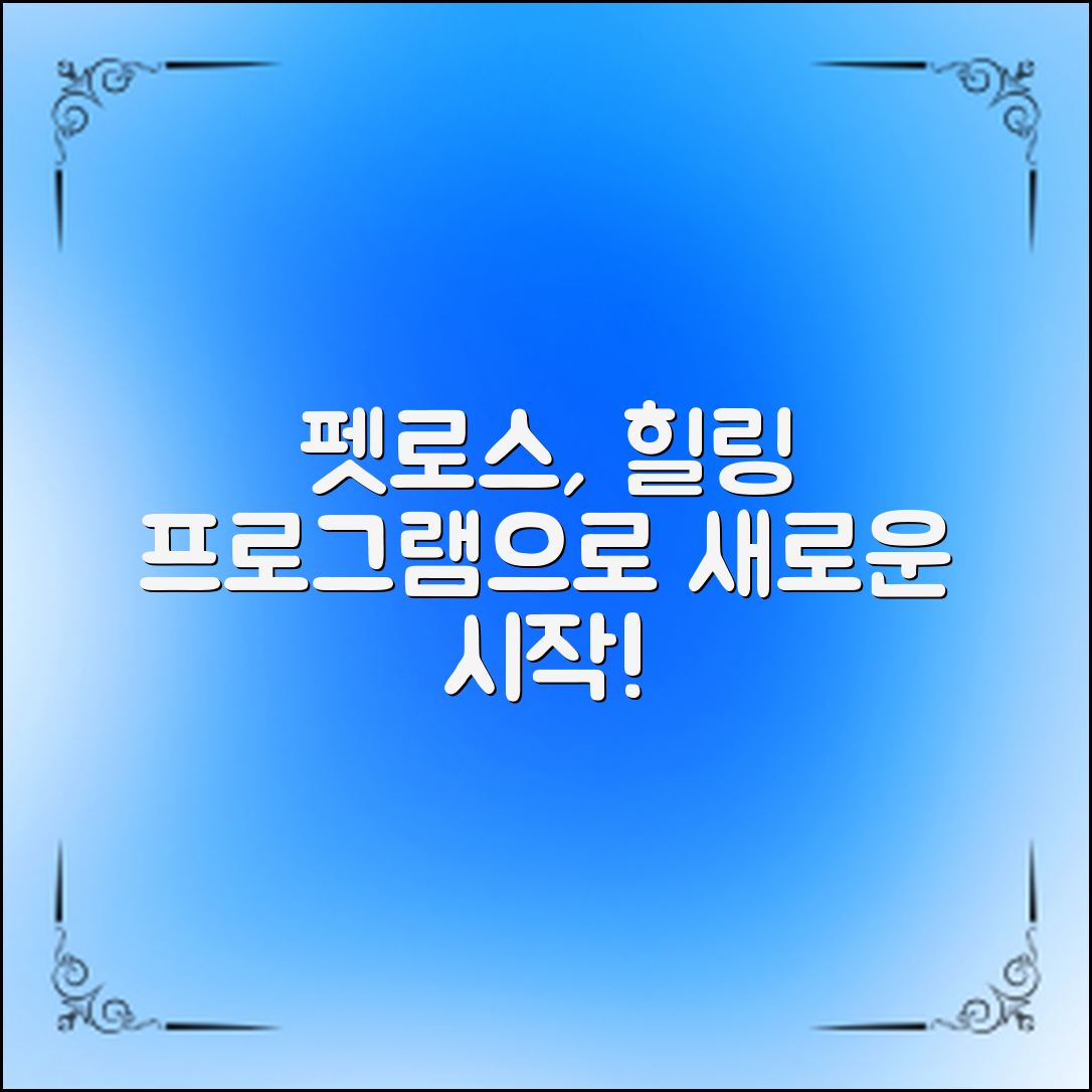 펫로스, 치유 프로그램으로 새로운 시작을 찾으세요?
