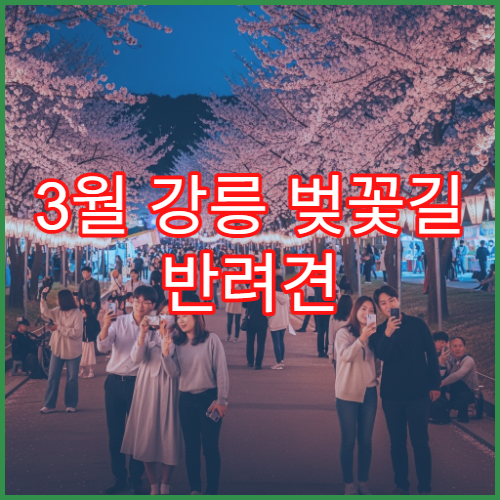 3월 강릉 벚꽃길 반려견 산책 허용 구역과 주의사항