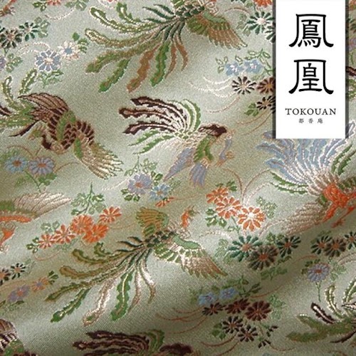 菊鳳凰