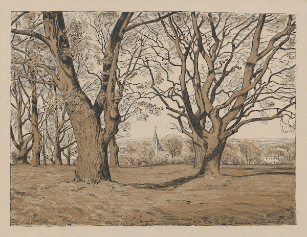 Landscape from the Obersursel area 1894