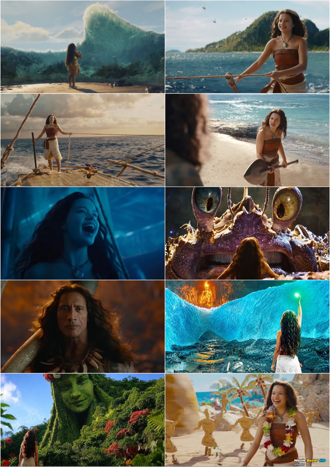 Screenshots Grid