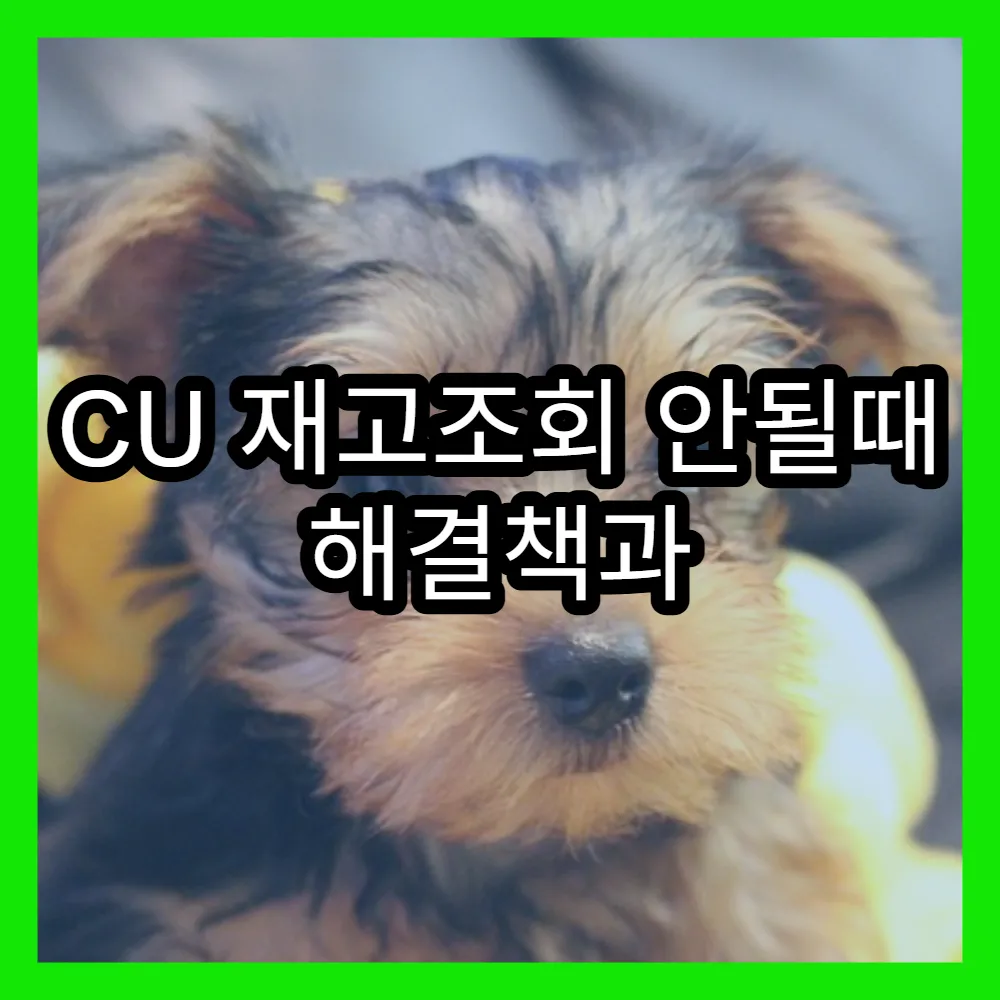 CU 재고조회 안될때 해결책과 최신 실시간 조회법