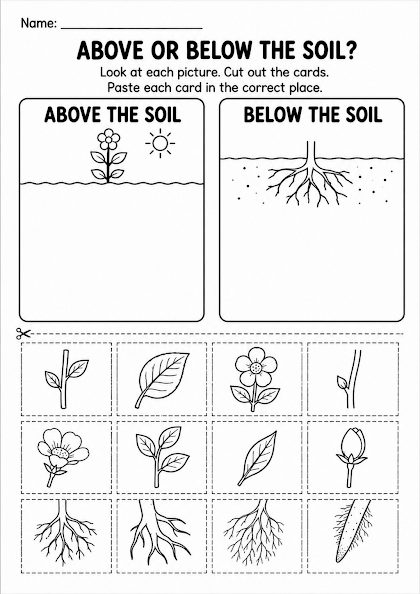 Above or Below the Soil?