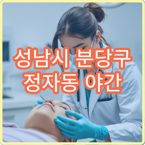 성남시 분당구 정자동 야간 이비인후과 진료 가능한 병원 귀코목 증상 안내