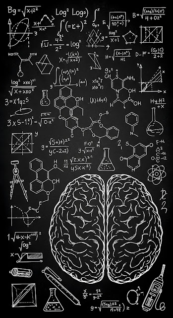 Black and White Science Doodle of Brain and Formulas on Chalkboard - Free mobile Wallpaper