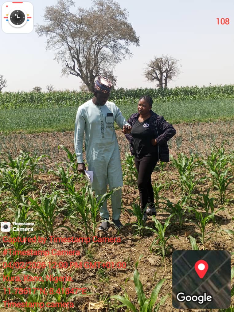 Kano State pilot — field visit