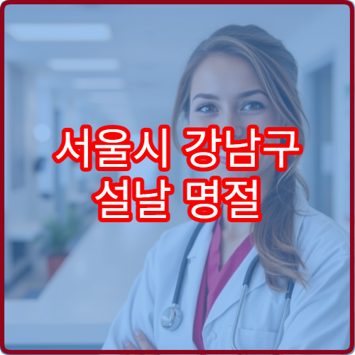 서울시 강남구 설날 명절 가정의학과 연휴 진료 병원 발열·복통·만성질환 종합 진료 가능