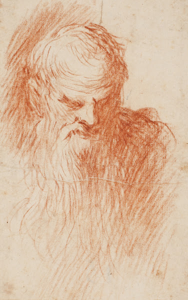 Head of a bearded man 1547  1627