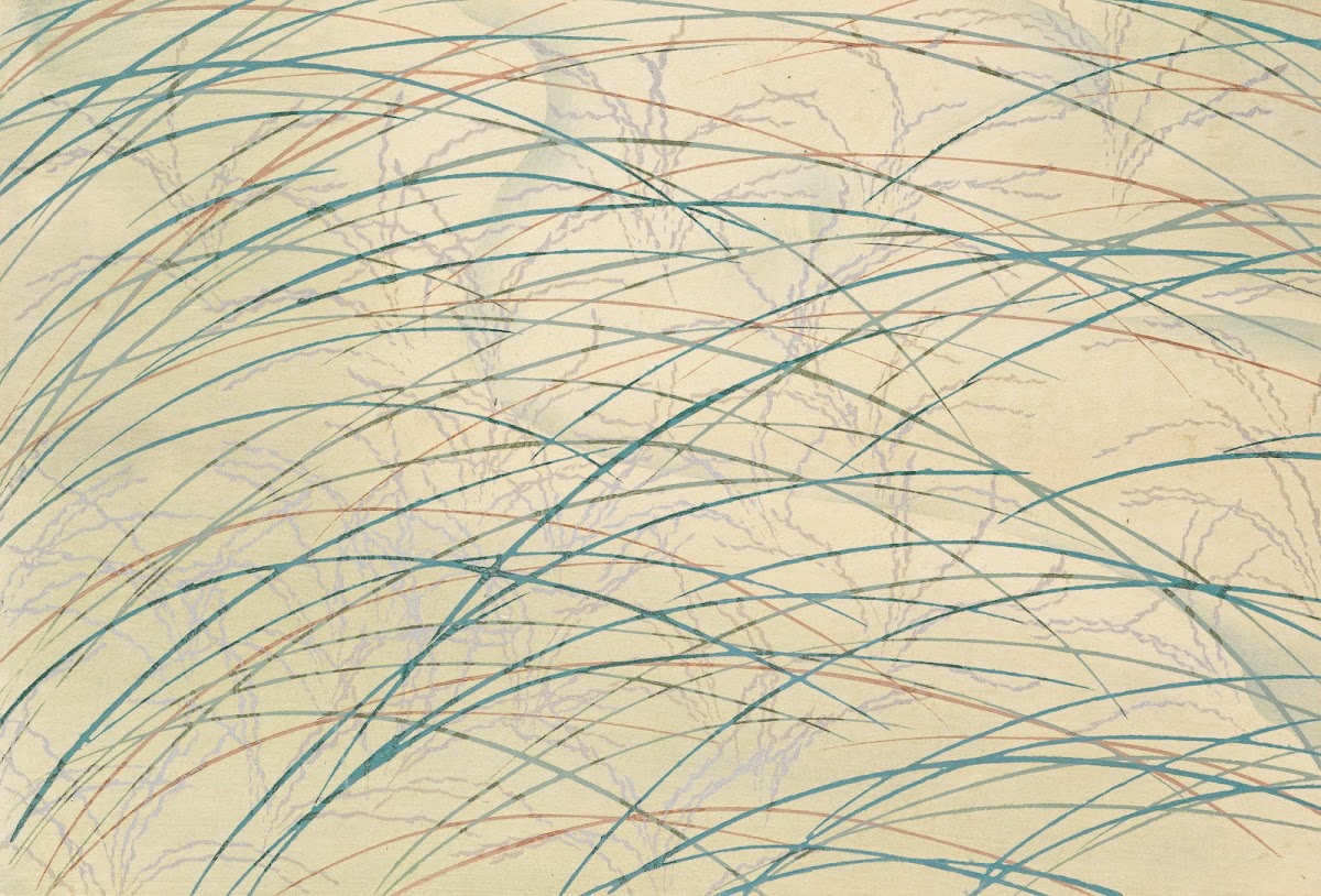A Thousand Grasses Pl17 1900