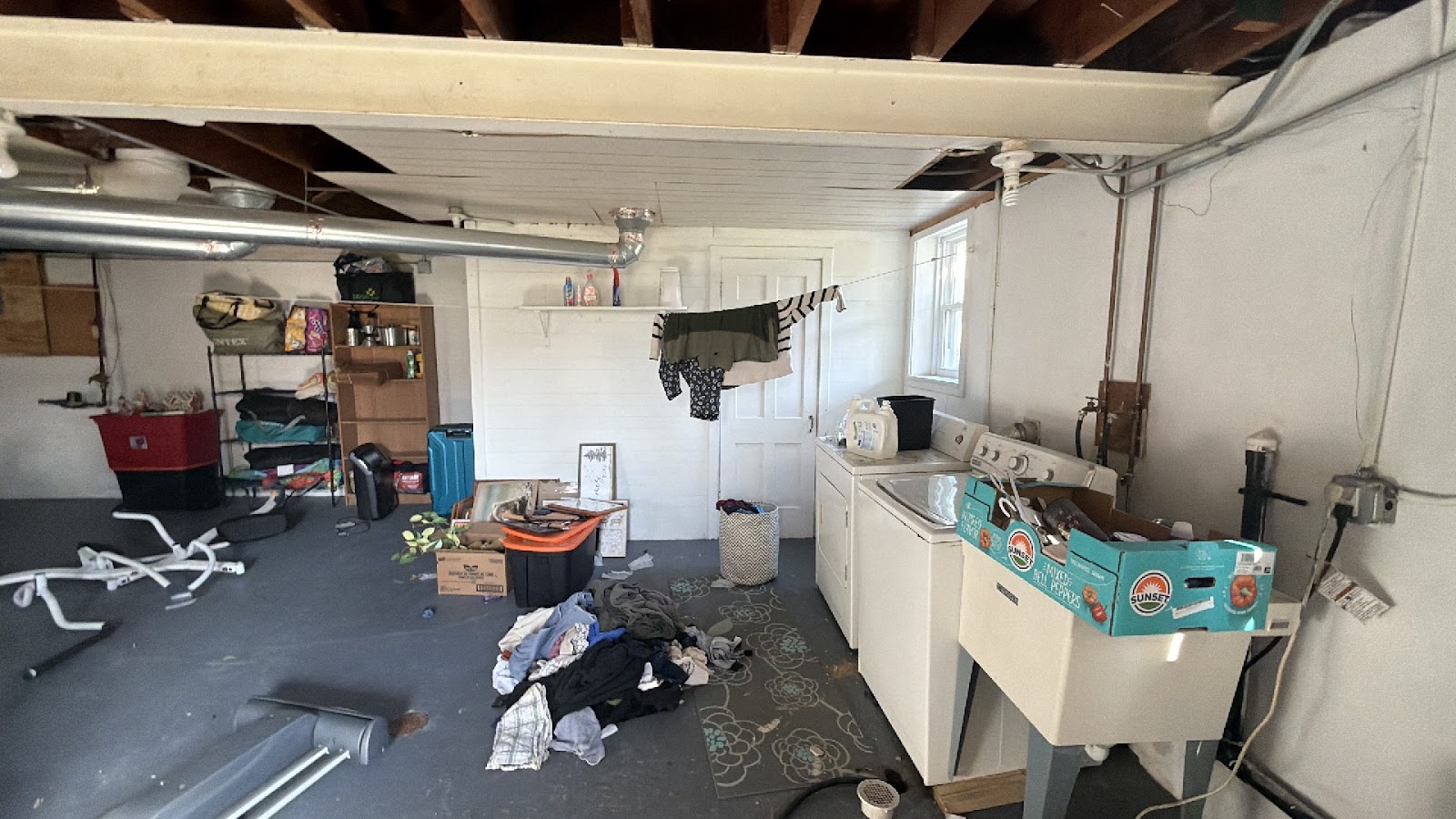 Copy of IMG_2026-03-12_16-40-27_655.jpg