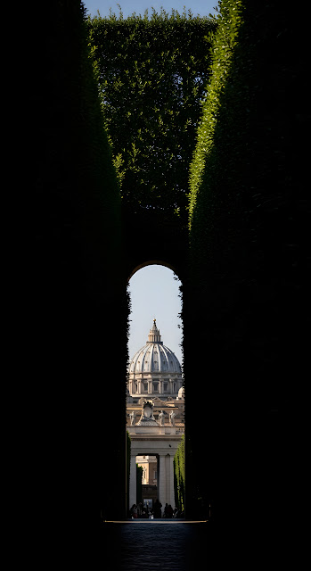 Dramatic Framing of St. Peter's Basilica Dome Through a Dark Hedge Archway - Free mobile Wallpaper