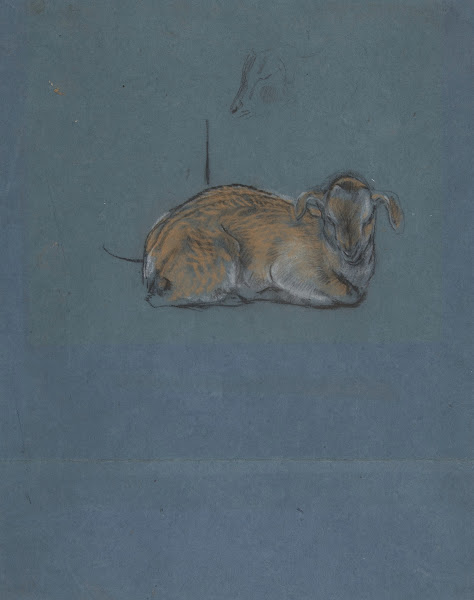 Studies of a Kid or Fawn 19th20th century