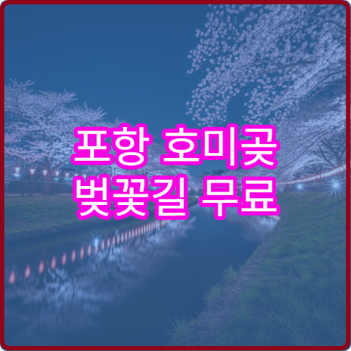 포항 호미곶 벚꽃길 무료 셔틀버스 통영역-호미곶 40분 시간표