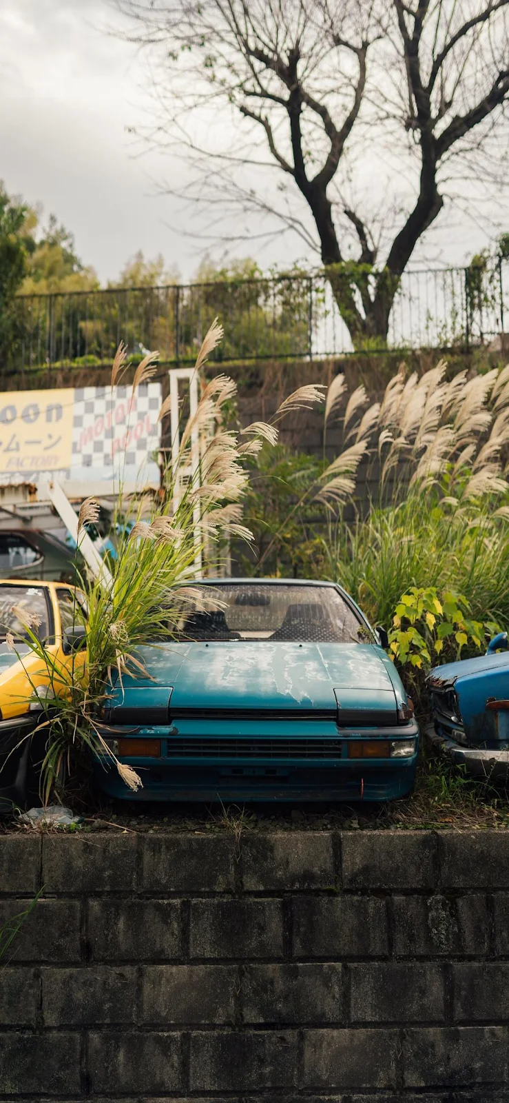 Abandoned Teal Car Overgrown With Weeds - Urban Decay Photography iPhone Wallpaper (1065x2306)