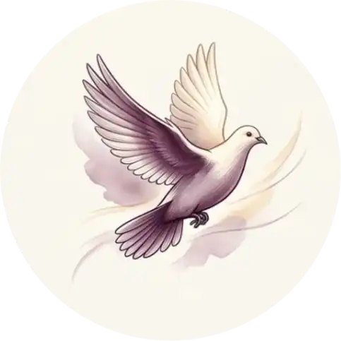 Graceful dove taking flight