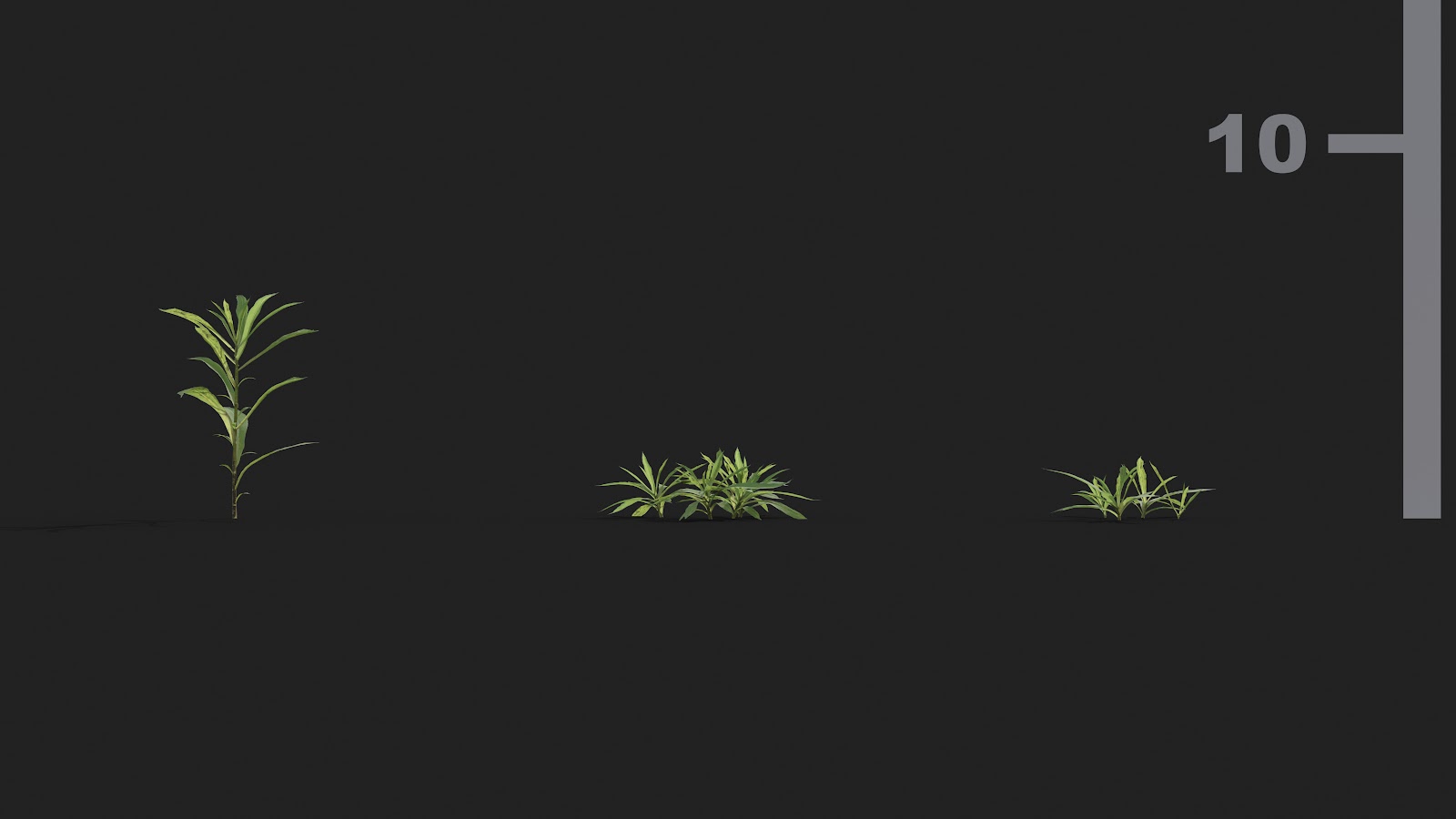 Maxtree - Plant Models Vol.21