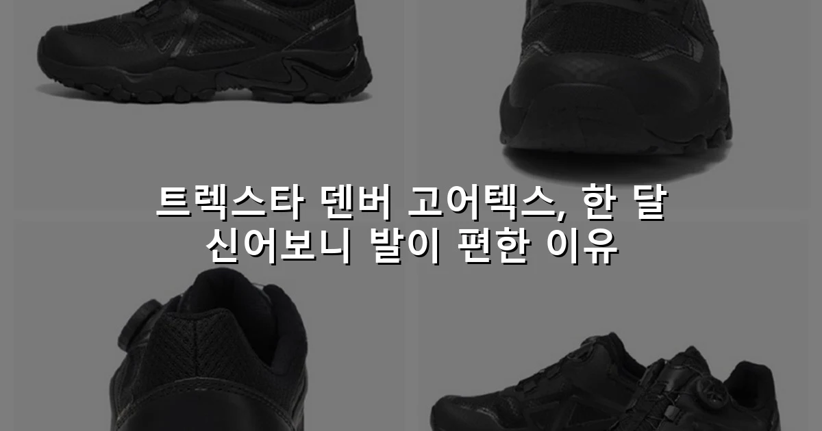 트렉스타 덴버 고어텍스, 한 달 신어보니 발이 편한 이유