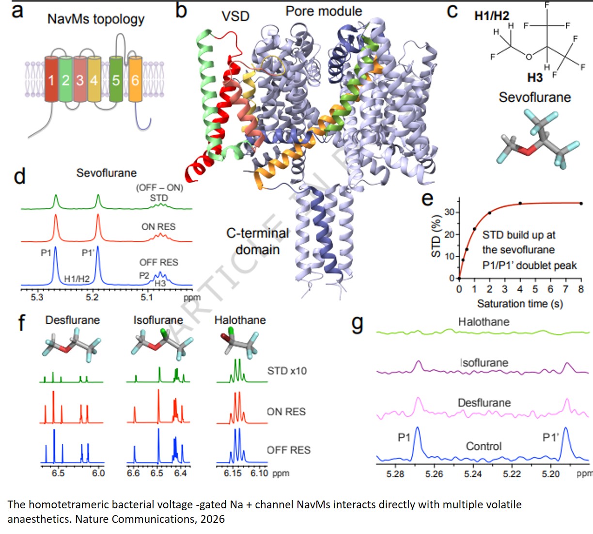 Volatile anaesthetics modulate voltage-gated sodium channel function at a site directly linked to channel gating