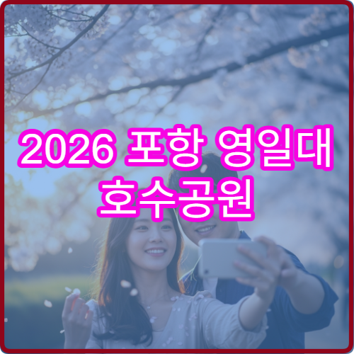 2026 포항 영일대 호수공원 벚꽃 명소 순위 1위 평일 오전 10시 가이드