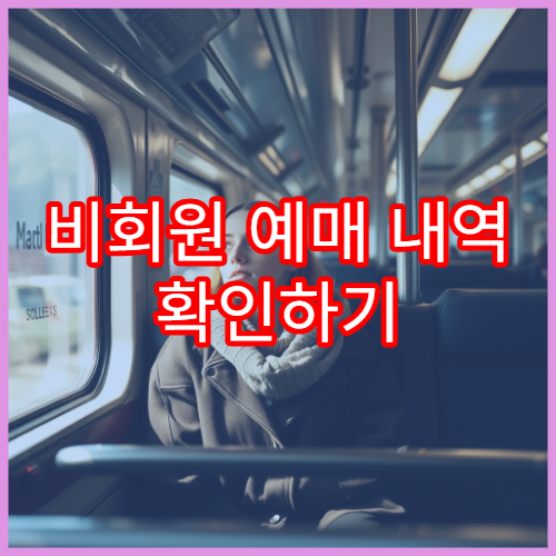 비회원 예매 내역 확인하기 및 재조회 가이드