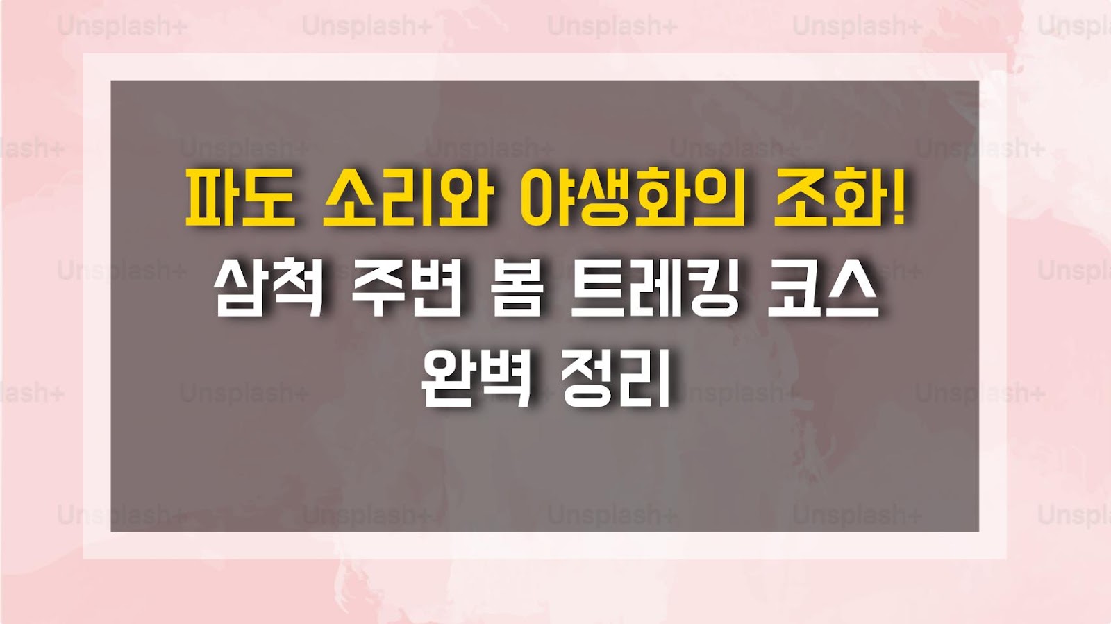 파도 소리와 야생화의 조화! 삼척 주변 봄 트레킹 코스 완벽 정리