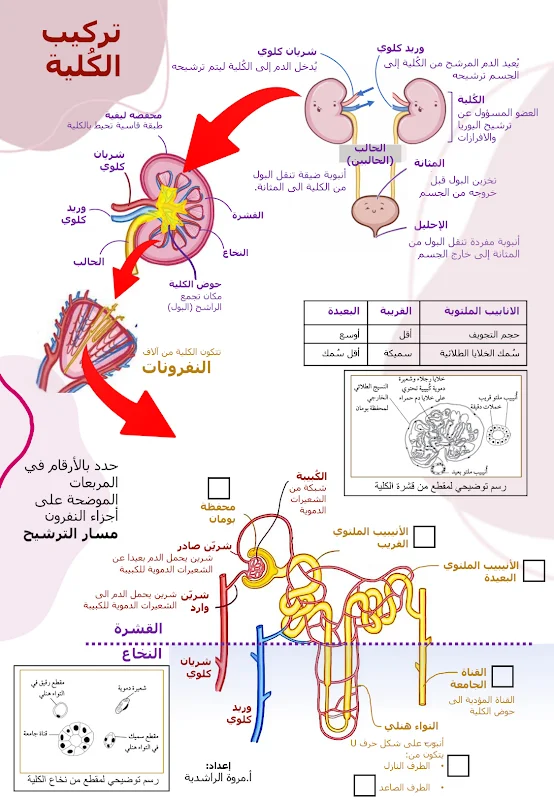 صورة الغلاف