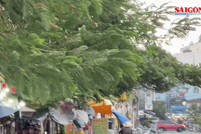 TPHCM: Gió lớn quật rớt biển quảng cáo xuống đường - Báo Sài Gòn Giải Phóng