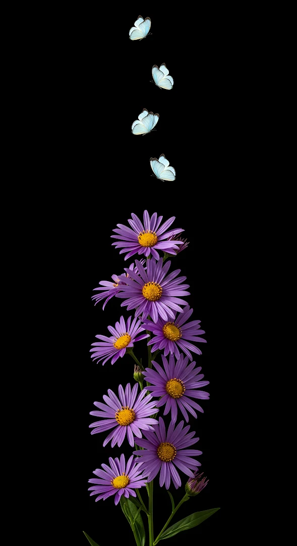 Purple Asters and White Butterflies on Black Background