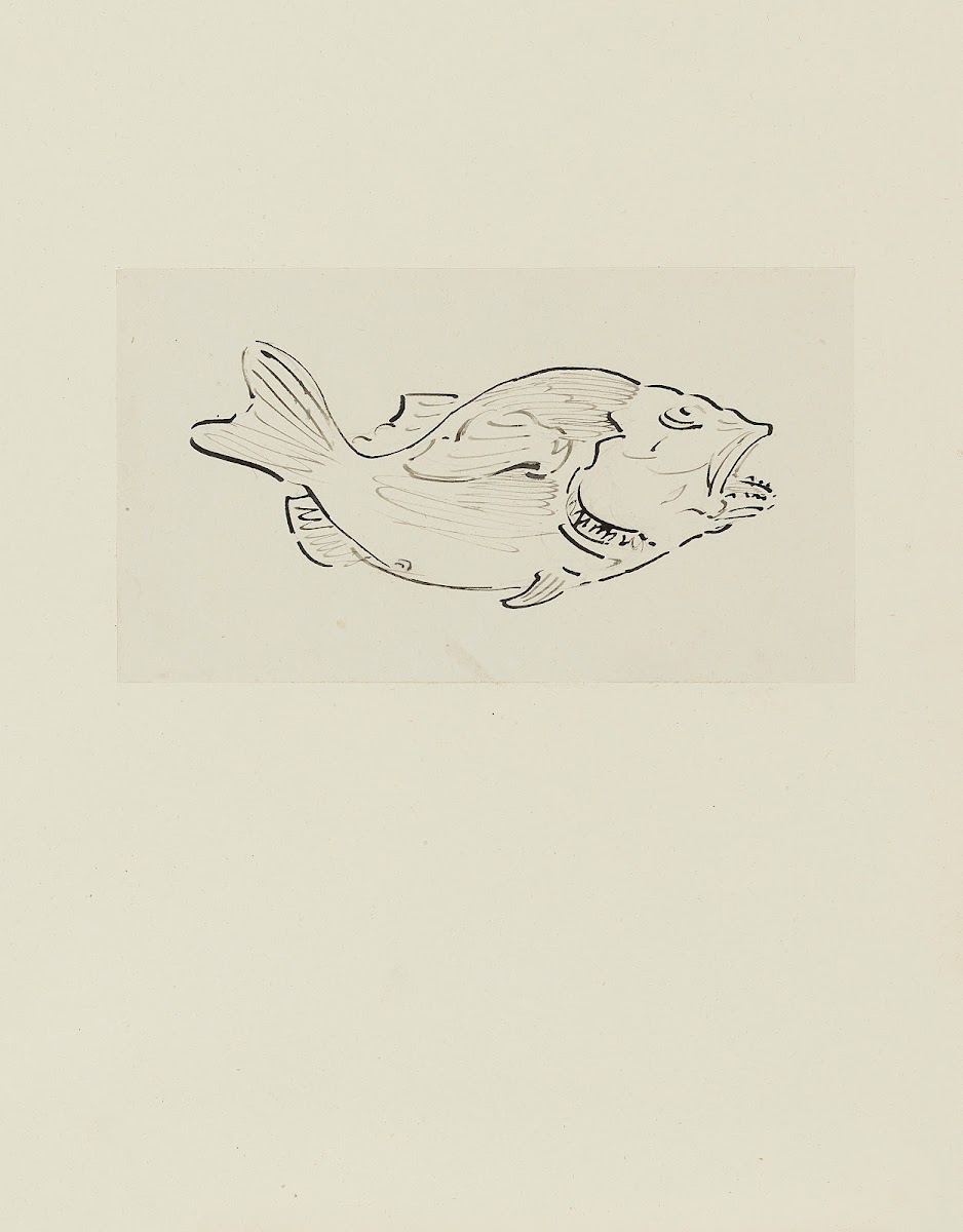 Poisson  dessin non utilisé 1920 1921