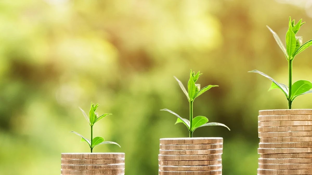 MZ세대 금융 투자 상품별 수익 구조와 위험도 분석