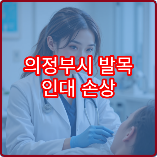 의정부시 발목 인대 손상 평가와 재활 치료 병원 정보 제공
