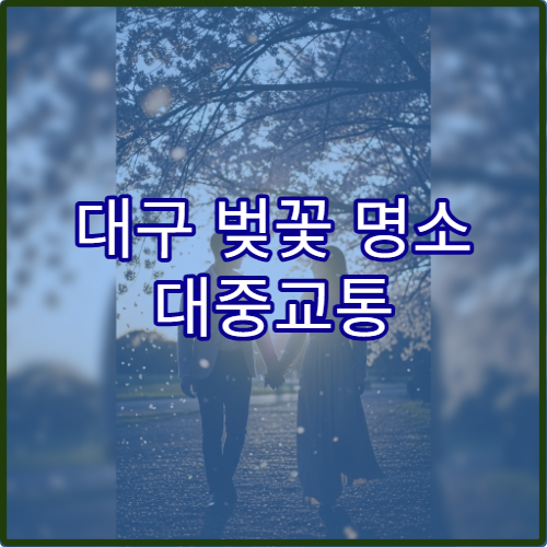 대구 벚꽃 명소 대중교통 버스 노선과 환승 초보자 상세 이동 안내