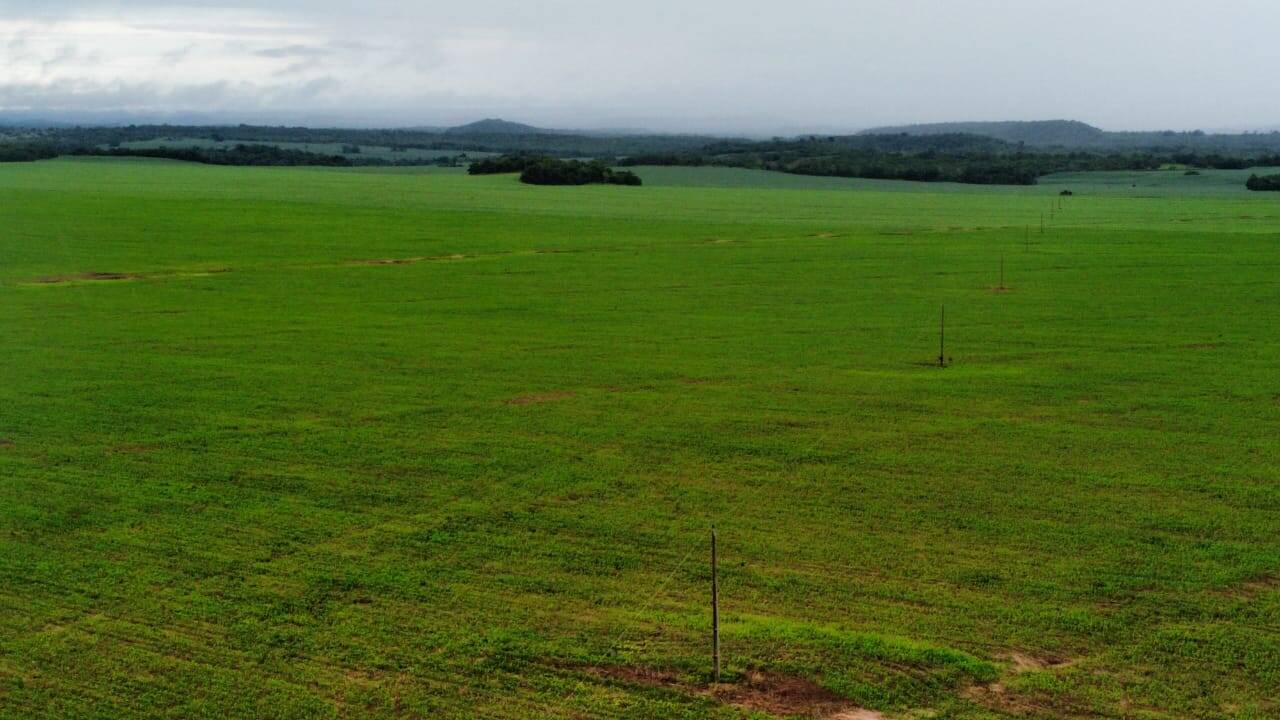 Fazenda no Município de Darcinópolis - TO 6