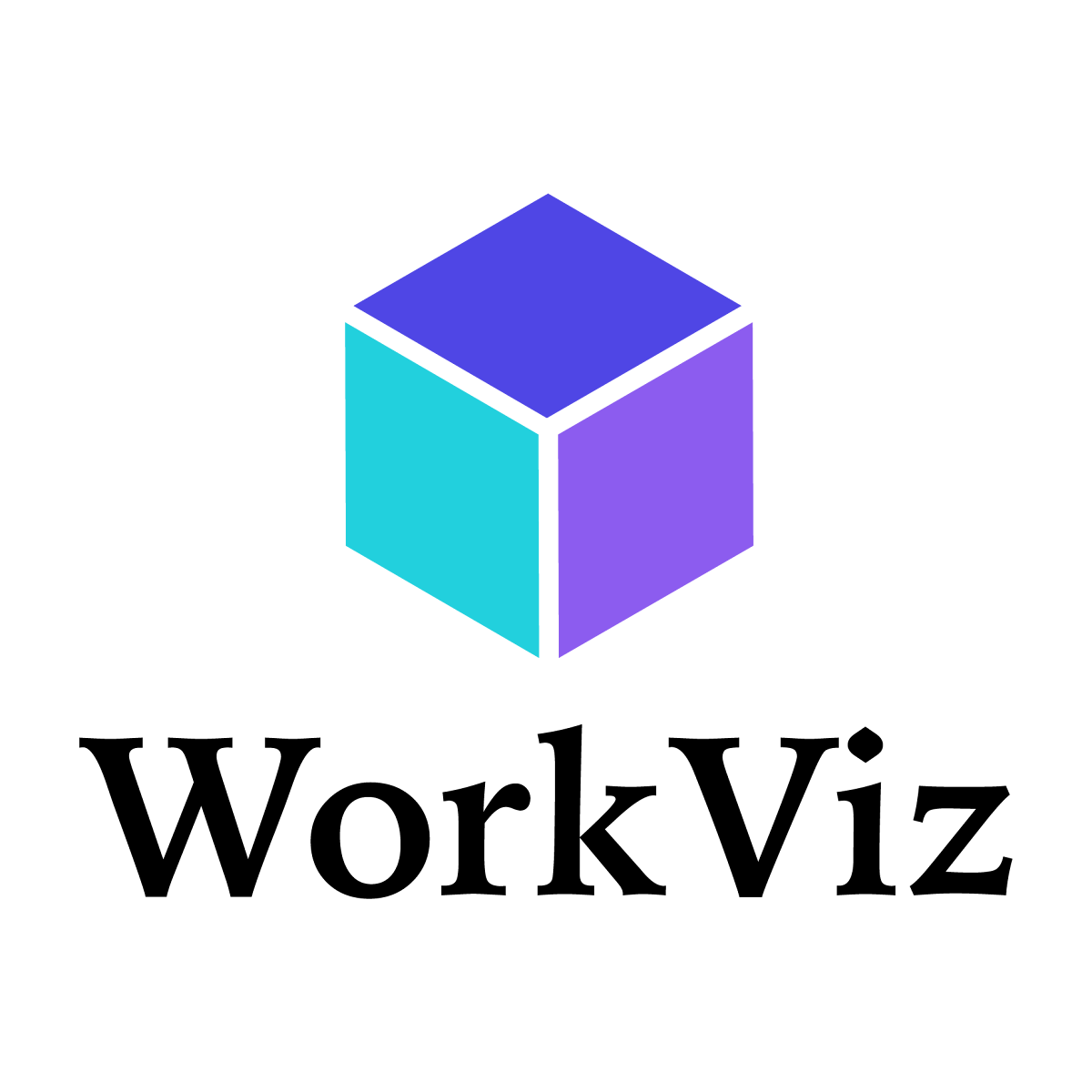 Captura de WorkViz