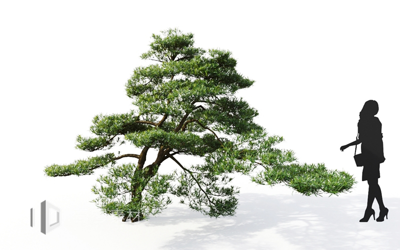 Maxtree - Plant Models Vol.9