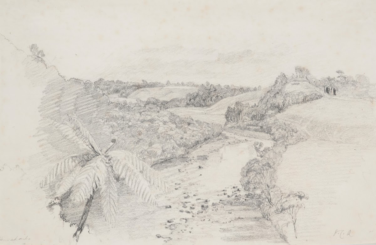 Waiwakaiho River Taranaki looking up from Richardsons 1850s